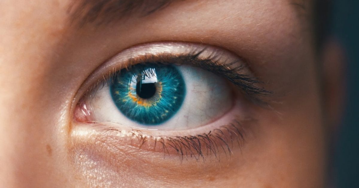 Keighley and Cross Hills Opticians' Hopes for Study